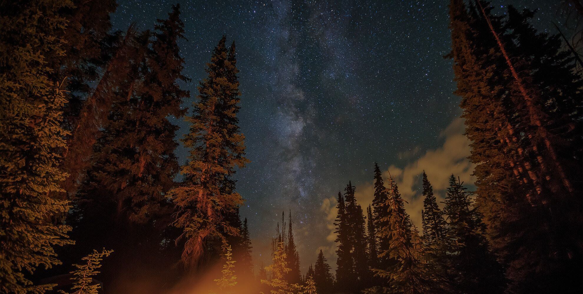 Trees & Sky Over Campsite